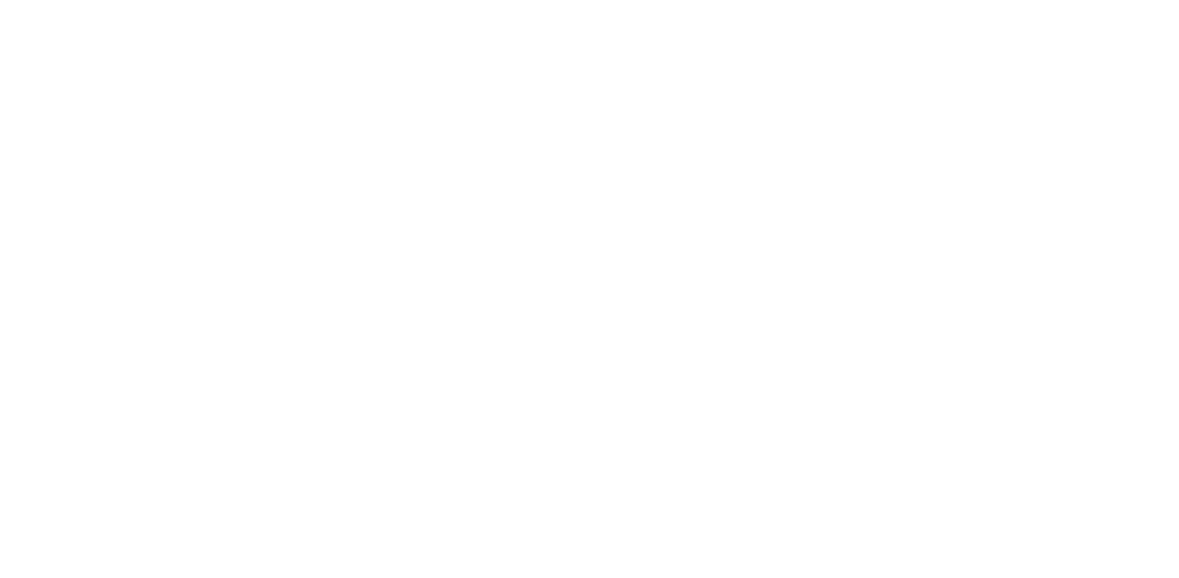 Bookise Logo